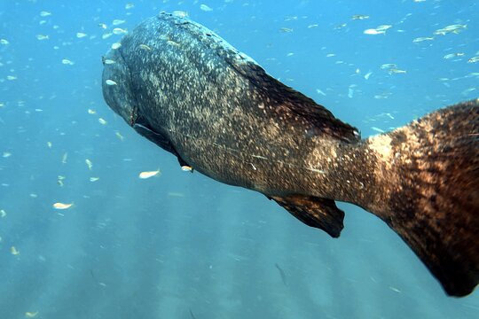 Tour image 12