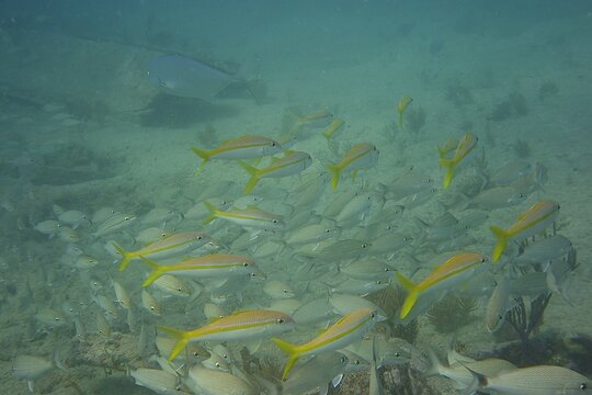 Tour image 5